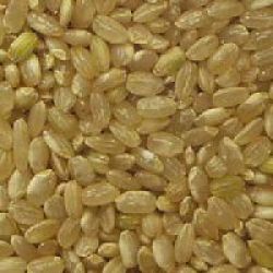 Brown rice