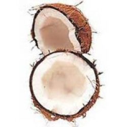 Coconut