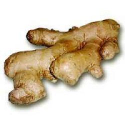 Ginger