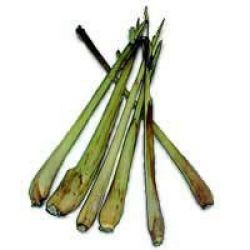 Lemongrass