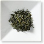 Sencha